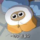 헤어플레이 이미지