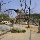 양평양떼목장 이미지