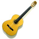 포크기타 (연주) 이미지