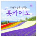 (동화로 떠나는) 세계요리 | [6월7월 일본여행] 홋카이도 패키지 라벤더시즌 후라노 비에이 꽃놀이 노옵션 일정