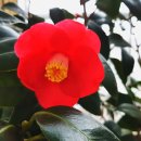 더노벰버스테이 이미지