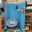 멍냥&꽁냥 이미지