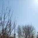 대월놀이공원 이미지