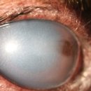 산본동물병원 이미지