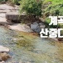 다연펜션 이미지