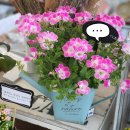 늘푸른에듀 이미지