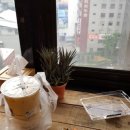 2017.12.7~10 타이완 타이페이 놀고 또 놀려고 파스로 테이핑(스시익스프레스, 아종면선, 용산사 천미...