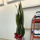 아네뜨미술학원