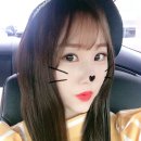 진주알미용실