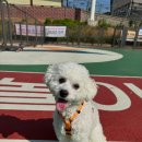 미니주동물병원 이미지