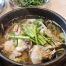 동대구신시장 | [대구 맛집 추천] 몸보신 제대로 하고 온 대구 복어요리 맛집 '온정복' 후기