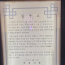 안동엘이디조명 | 안동 필수 관광지 [월영교] 문보트까지 일석이조 놓치면 후회할 월영당카페까지