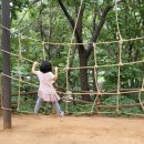 온수공원(지양산) 유아숲체험원 이미지