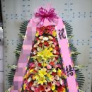 호텔더제이리츠 이미지