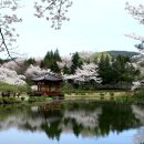 호수풍경 이미지