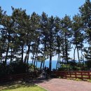 지개동산 | 뚜벅이 제주 여행, 3일차 중문 일정(정이가네/주상절리/산방산 원앤온리/송악산둘레길/만족한상회)