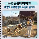 전국뽑기자랑 | 용인곤충테마파크, 용인투어패스 하나로 13개월 아기랑 주말 나들이 뽕 뽑기