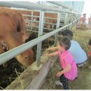 일우농장 이미지