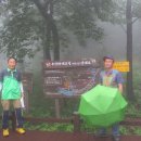 장흥군 장동면 제암산 자연휴양림(더늠길)(2018,6,5)2. 이미지