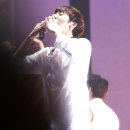 수니 이미지