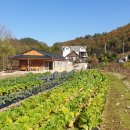 부연계곡그집펜션 이미지