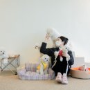 뭉티의 하루 이미지