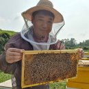 병곤농장 이미지