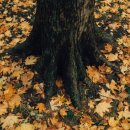 개포4-102 이미지