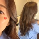 대전 도안동미용실 추천, 헤어포유 2026 트렌드 레이어드컷 씨컬펌 후기