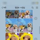 멍로하 이미지