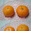 훈 농장 이미지