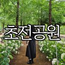 초전공원 수중분수 | 진주시 수국 명소 초전공원 6월 수국 현황 및 주차, 화장실 정보