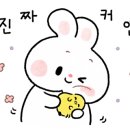 봉구비어진영점 이미지