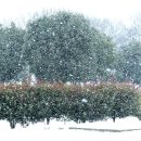 함평자연생태공원 이미지