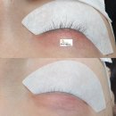 주식회사 신데렐라아미솔루션 | 속눈썹생장술 7월 전문가 과정 원데이교육안내