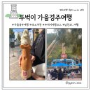 남친과 1박 2일 뚜벅이 가을경주여행 1일차 (srt예매팁/경주여행코스/경주월드/황리단길)