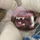 창생동물병원 이미지