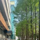 우산각공원 이미지