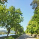 영동 가족형 펜션 이미지