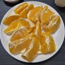 경주 이벤트키즈풀빌라 드로잉 | 경주 감성 단체 풀빌라 이벤트 풀빌라 차경 A동 내돈내산 솔직후기