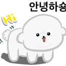 코코앤잭슨 이미지