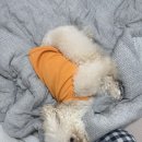 춘이김밥 | 25년 정리합니다..