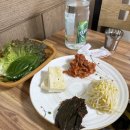 돼지의전성시대 이미지