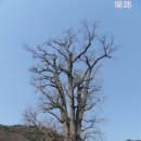 용문산 이미지