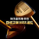 골드몰 | 파크골프채 추천, 마르고몰 브리즈 골드 초경량 타구감 후기 (평점 4.93)