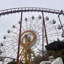 청룡카랜드 이미지