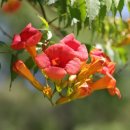 풍동가족한의원 이미지