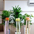 주식회사 대교뉴이프
