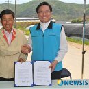 쌍정2리 이미지