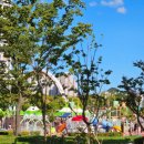 세븐일레븐 대구신남점 | 20250721~ 20250727 곰주부의 일상